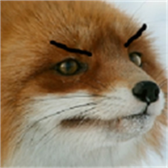 ncrybka